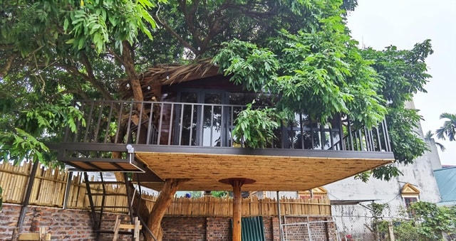 Căn nhà trên cây được hoàn thiện với diện tích 22m2.  