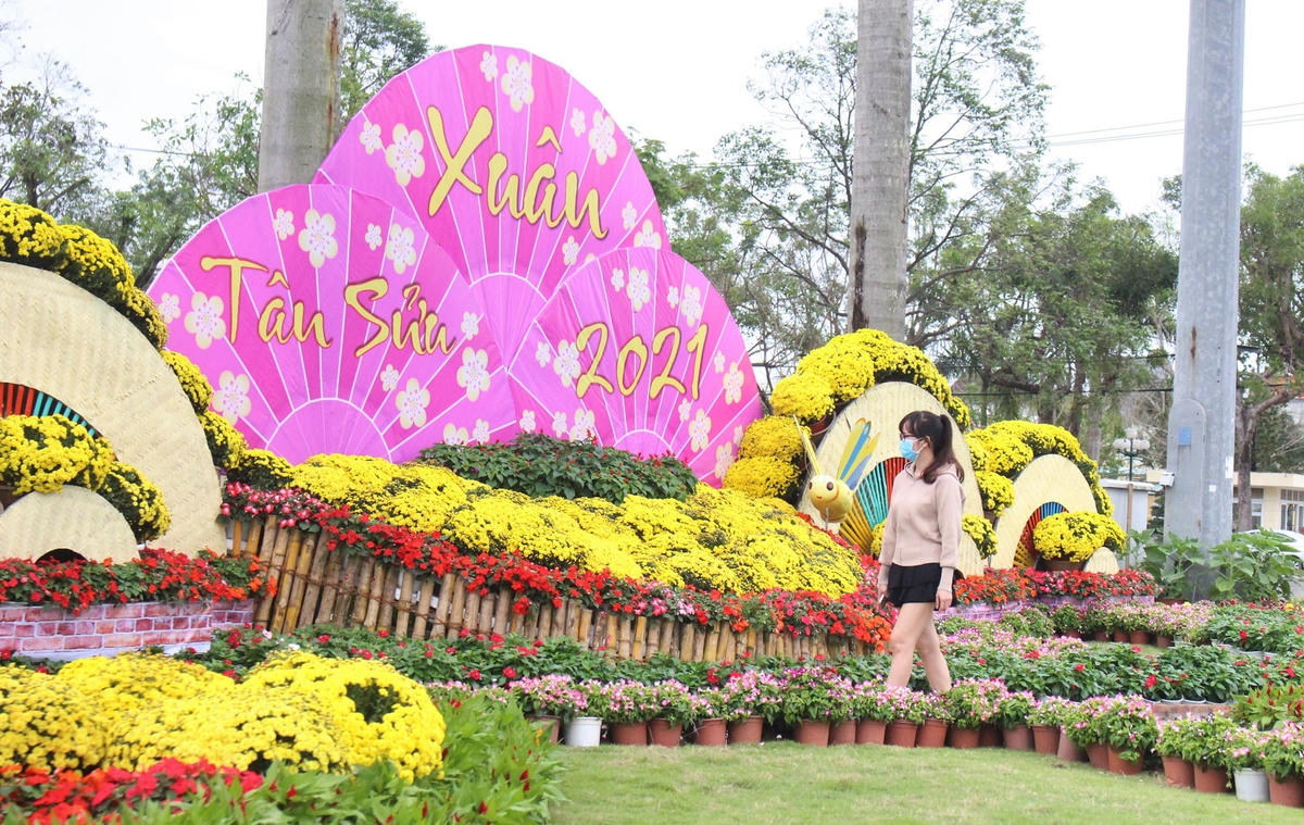 Sắc hoa lung linh nơi trung tâm TP Tam Kỳ.