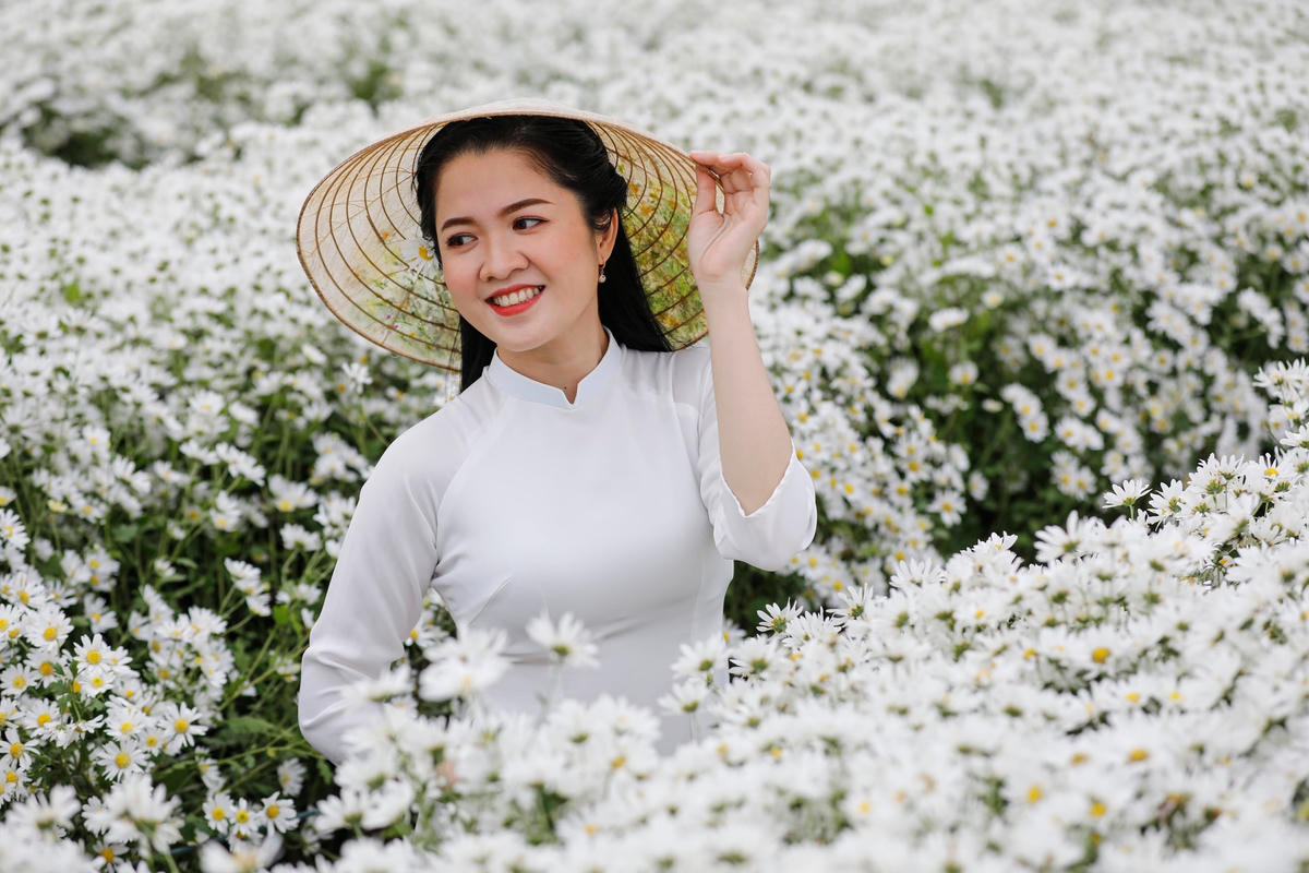Làm duyên với cúc họa mi.