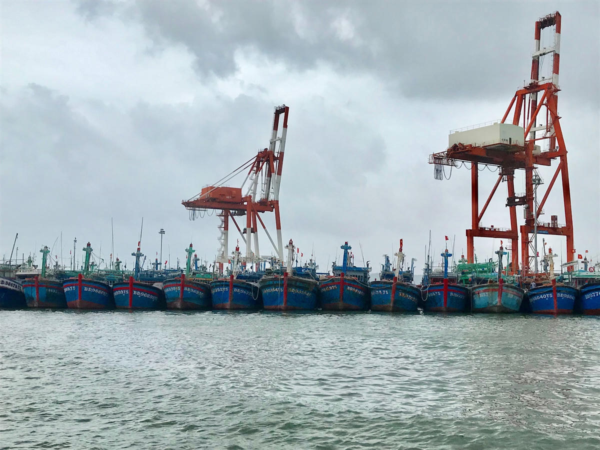 Tàu cá neo đậu tránh trú bão số 9  tại Cảng cá Quy Nhơn, Bình Định.