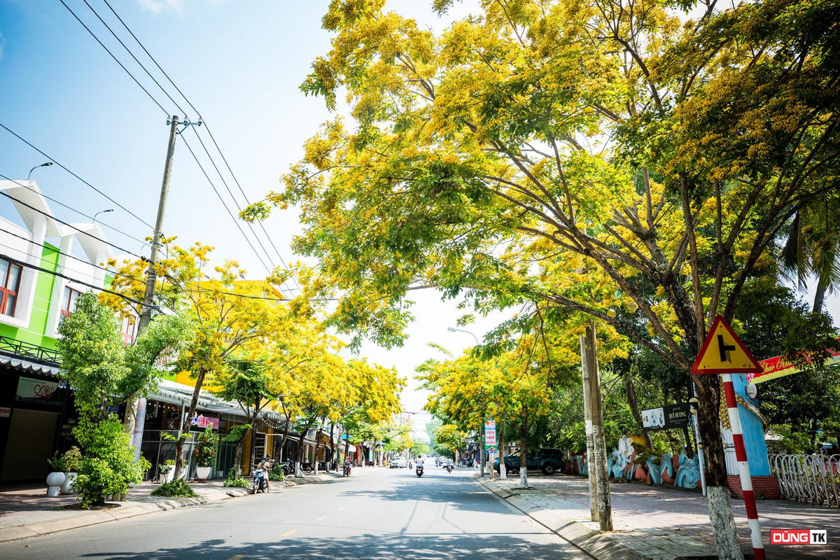 Góc phố hoa sưa.  