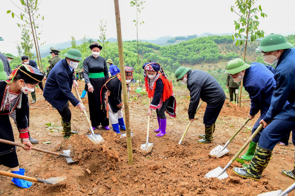 Chủ tịch Đỗ Văn Chiến cùng lãnh đạo tỉnh Tuyên Quang trồng cây xanh tại Lễ phát động. Ảnh: Quốc Việt.