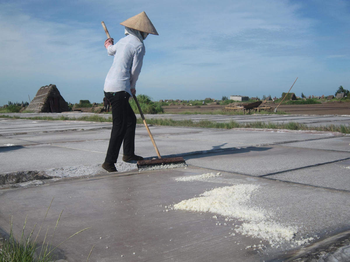 Từ nhiều đời nay, giáo dân xã Hải Chính (Hải Hậu, Nam Định) gắn bó với nghề làm muối.