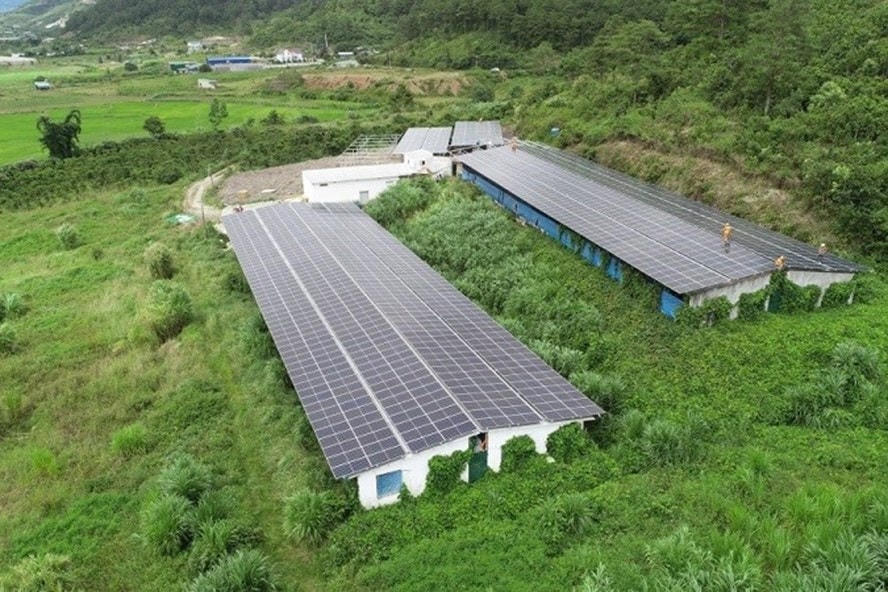 Trang trại cũng làm điện áp mái.