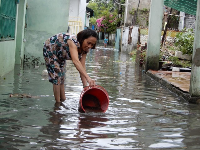 Đà Nẵng: Nhiều cây xanh bật gốc, người dân ra biển bắt cá sau bão