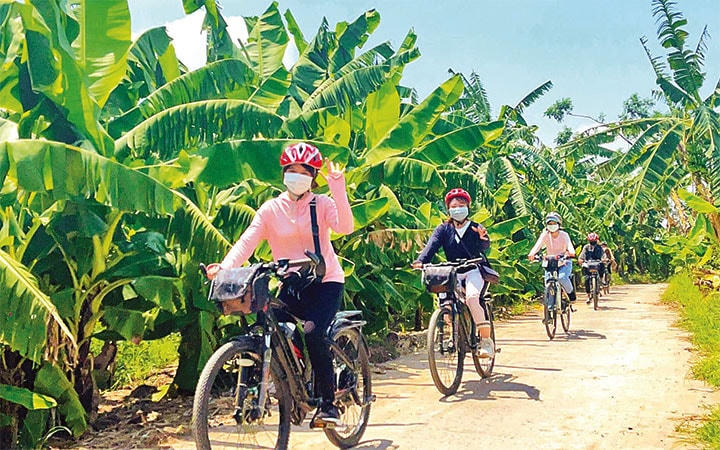 Hình thức du lịch khép kín, theo nhóm nhỏ được nhiều du khách quan tâm, lựa chọn. Trong ảnh, Tour du lịch đạp xe khám phá bãi giữa sông Hồng và một số di tích của Hà Nội.