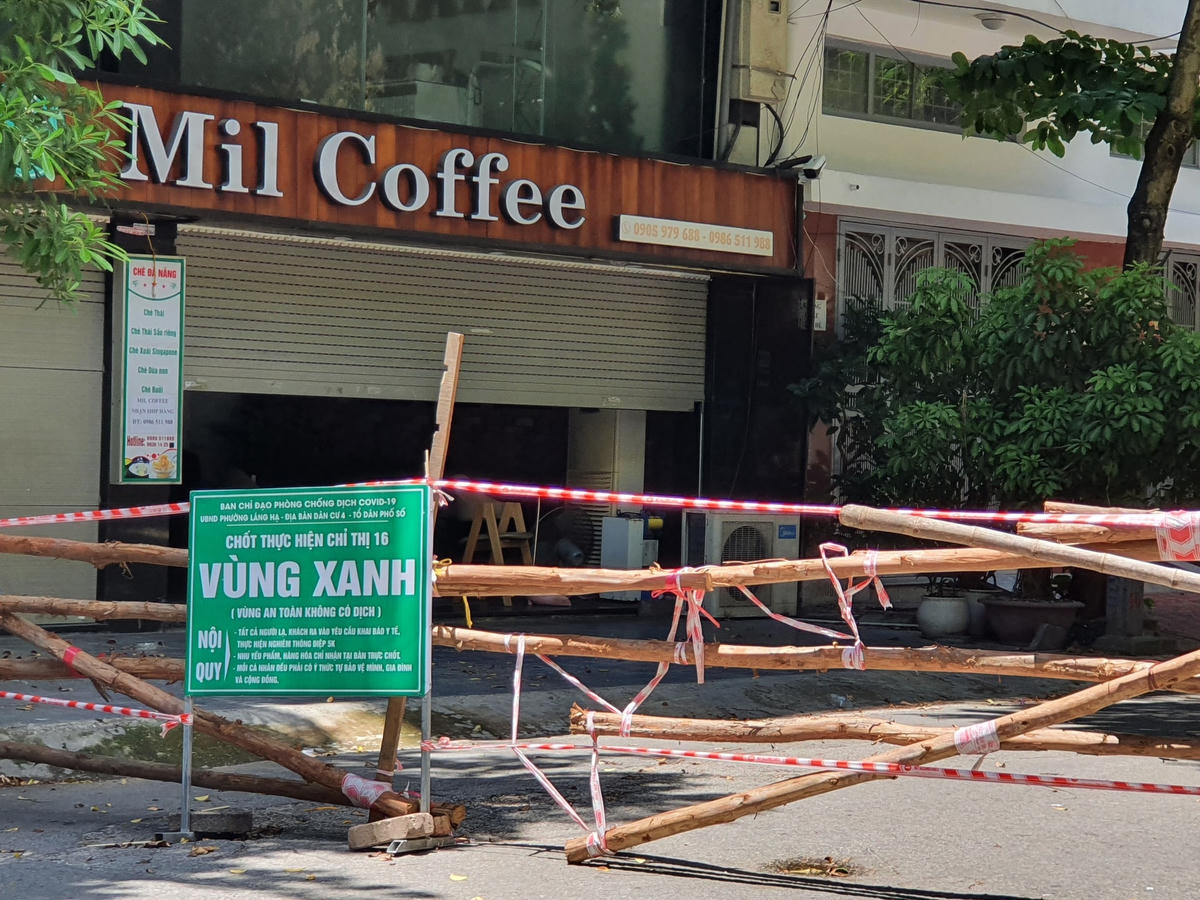 Dây duy băng, cành cây...cũng trở thành "lá chăn" bảo vệ những vùng xanh.