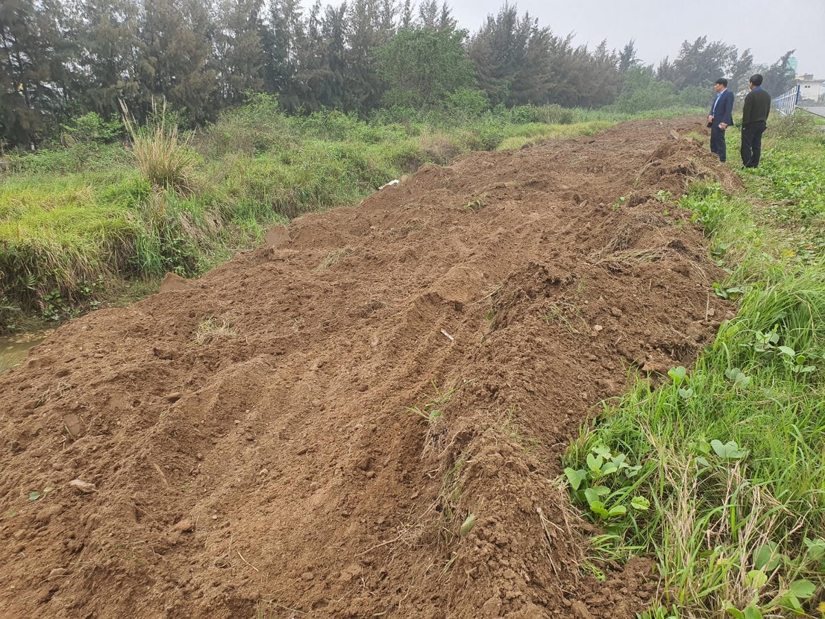 Khu đất được san gạt để làm đường vào.