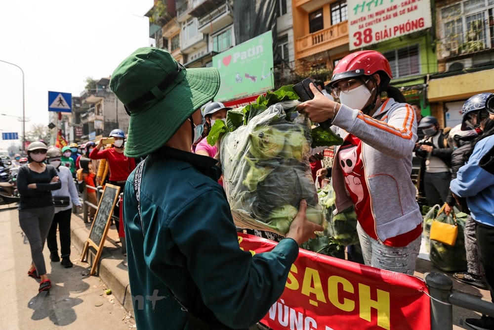 Người dân Hà Nội chung tay 'giải cứu' các loại rau xanh: bắp cải, cà rốt, su hào, súp lơ… cho nông dân Hải Dương, giúp bà con vượt qua giai đoạn khó khăn vì dịch Covid-19. (Ảnh: Minh Sơn/Vietnam+).