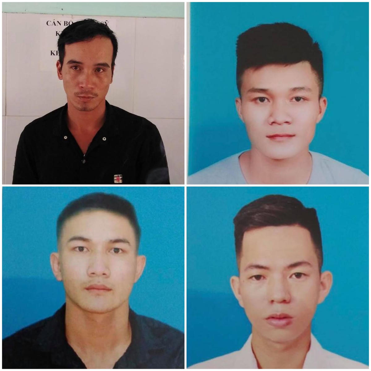 Bốn đối tượng trộm cau.