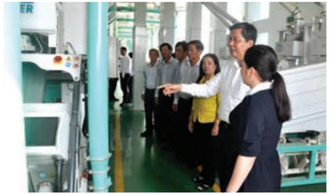 Ông Phạm Văn Hiểu, Phó Bí thư Thường trực Thành ủy, Chủ tịch HĐND thành phố thăm doanh nghiệp chế biến xuất khẩu gạo.