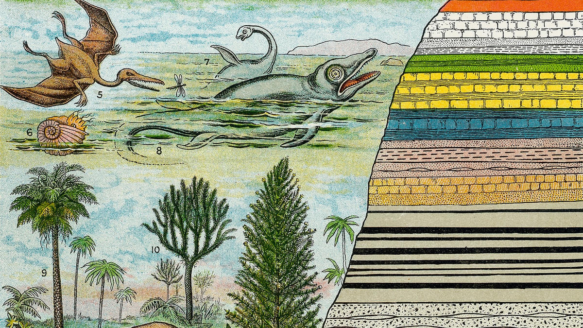 Bí ẩn về 11 cuộc đại tuyệt chủng trên Trái Đất, tiên đoán về sự kiện thứ 12