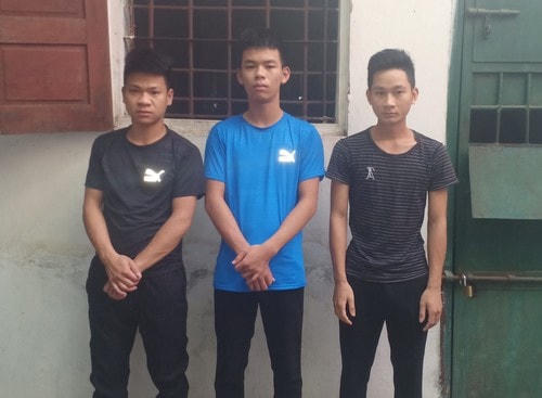 3 thanh niên là thủ phạm vụ trộm trâu. Ảnh Báo Nghệ An