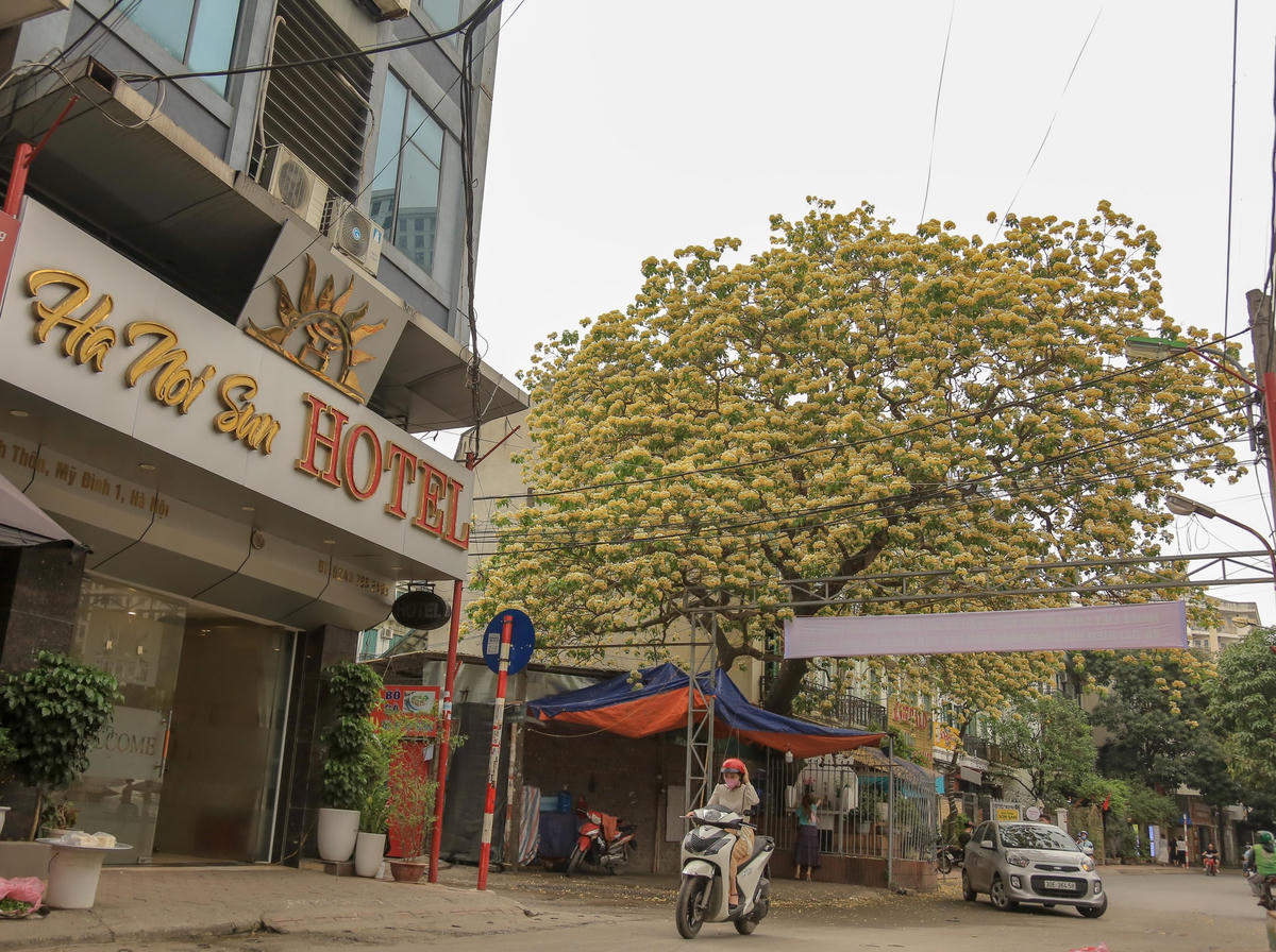  Người dân là Đình Thôn coi đây như là "cây đa" của làng. Cây bún nở hoa kín lối vào làng luôn là hình ảnh ấn tượng, đi vào tâm trí của nhiều thế hệ người dân nơi đây. Ảnh: L.A..
