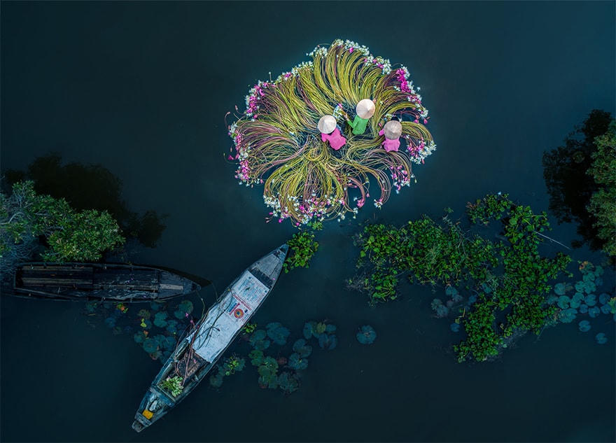 Một bức ảnh đẹp về Việt Nam được National Geographic giới thiệu.