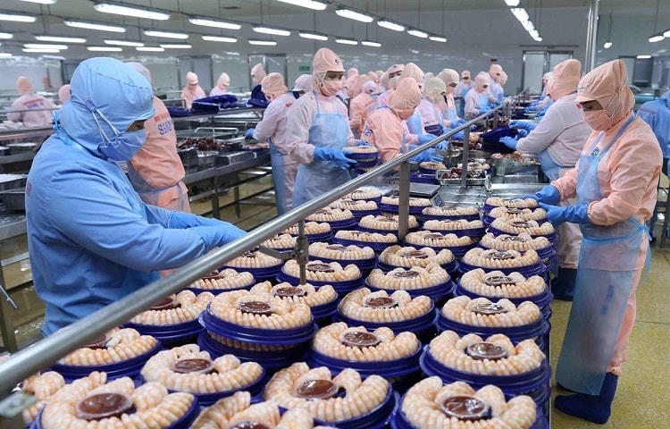 Xuất khẩu thủy sản có nhiều cơ hội tăng trưởng trong năm 2022.