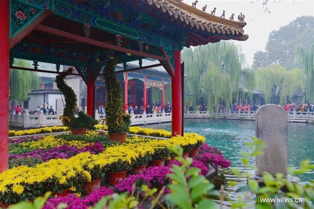Hành vi ném đồng xu xuống suối bị cấm từ năm 2015 vì những lo ngại ô nhiễm nguồn nước  