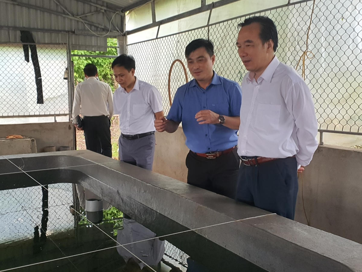 Phó Chủ tịch Ngô Sách Thực thăm cơ sở nghiên cứu, sản xuất giống thủy, hải sản ở xã Nam Cường, huyện Tiền Hải, do giáo dân Trương Văn Trị làm chủ.