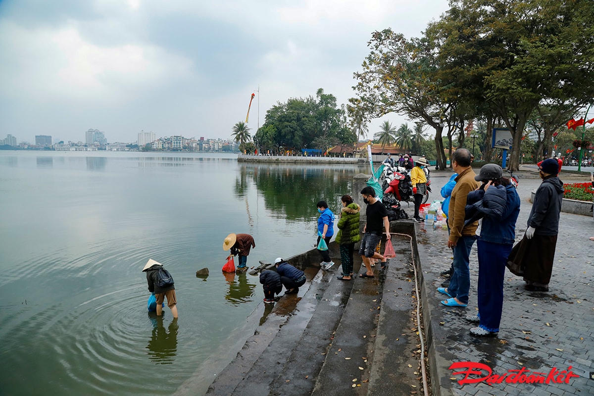 Người dân cũng cần tránh việc đi thả cá mà đổ, ném, quăng cá hoặc ném luôn cả túi ni lông chứa cá xuống ao, hồ, làm ô nhiễm môi trường.