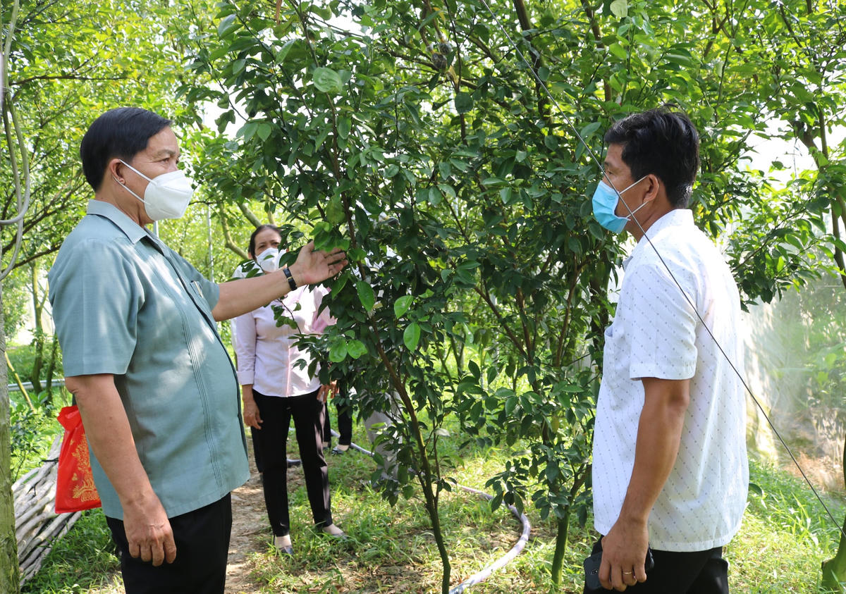Ông Lê Thành Công thăm mô hình Phấn đấu trở thành người nông dân chuyên nghiệp trên địa bàn tỉnh Đồng Tháp.