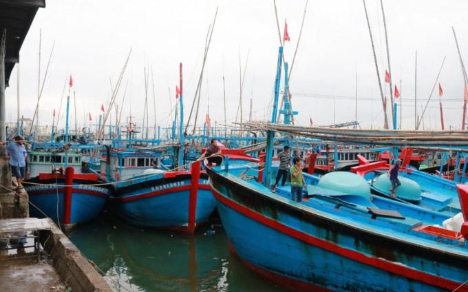 Tàu cá của ngư dân chưa lắp thiết bị giám sát hành trình. 