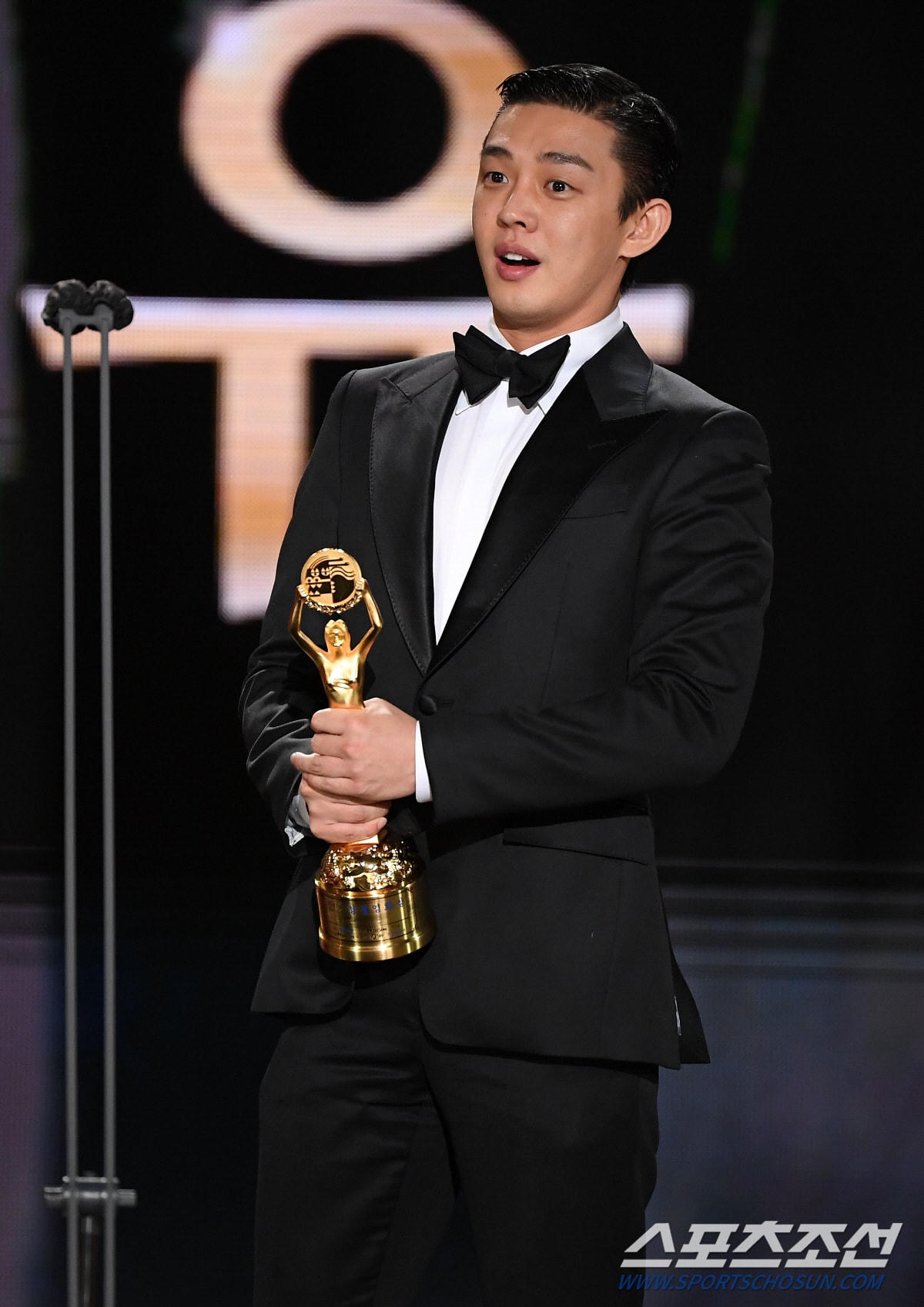 Danh hiệu Nam diễn viên xuất sắc thuộc về tài tử Hàn Quốc Yoo Ah In với bộ phim Voice of Silence (Thanh âm của im lặng).