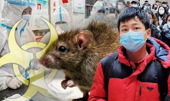 WHO đang giám sát trường hợp bệnh dịch hạch tại Trung Quốc. (Ảnh: KT).