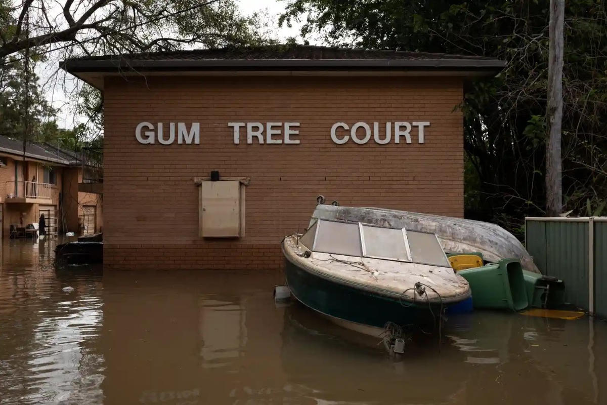 Những người đi thuyền đã thấy họ và cứu sống. Ảnh: The Guardian.
