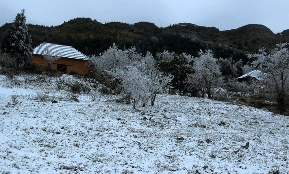 Tuyết rơi phủ trắng tại xã Y Tý, huyện Bát Xát. (Ảnh: Quốc Khánh/TTXVN).