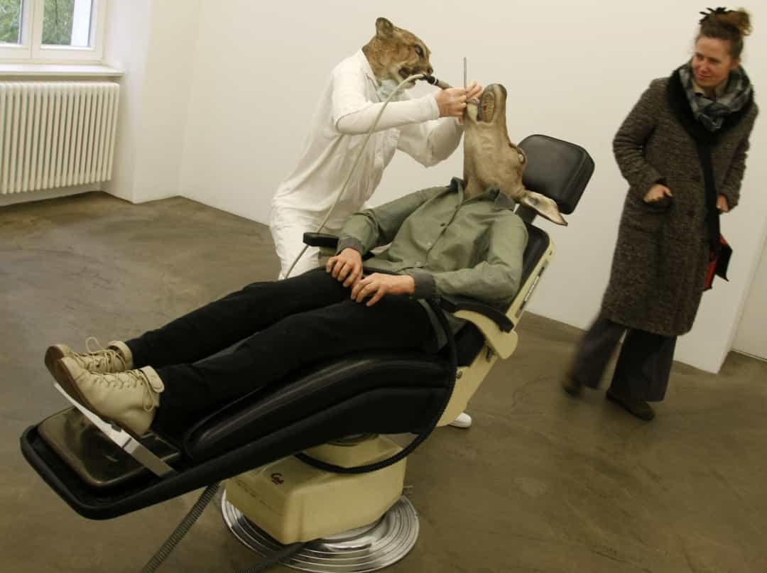 Puma-Dentist- Bức ảnh này được chụp tại phòng trưng bày nghệ thuật Deschler ở Berlin (Đức).