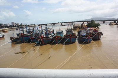 Các tàu thuyên vào neo đâu tránh mưa lũ.