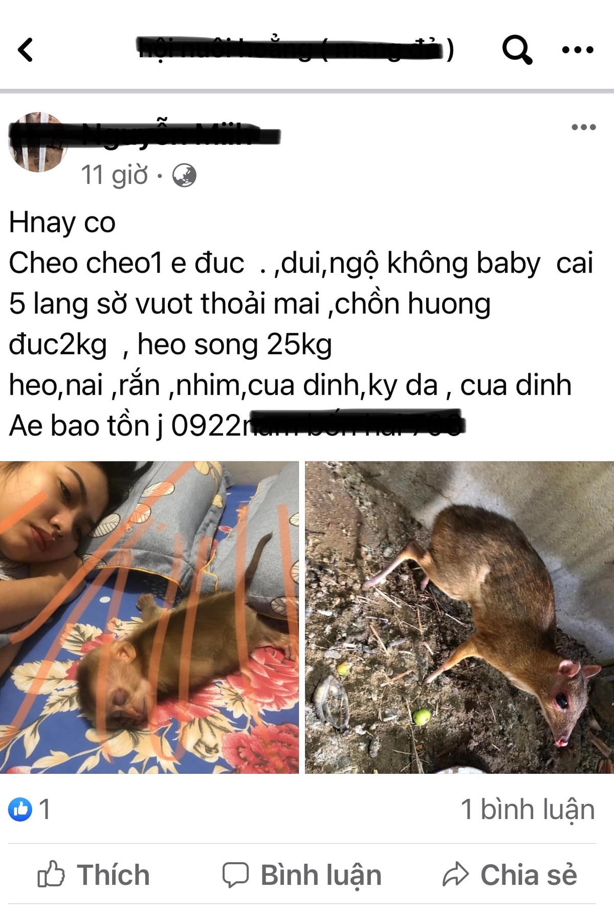 Để qua mặt lực lượng chức năng, các tài khoản không sử dụng từ mua hay bán, thay vào đó là "bảo tồn".