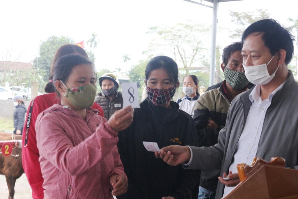Các hộ dân bốc thăm bò giống.