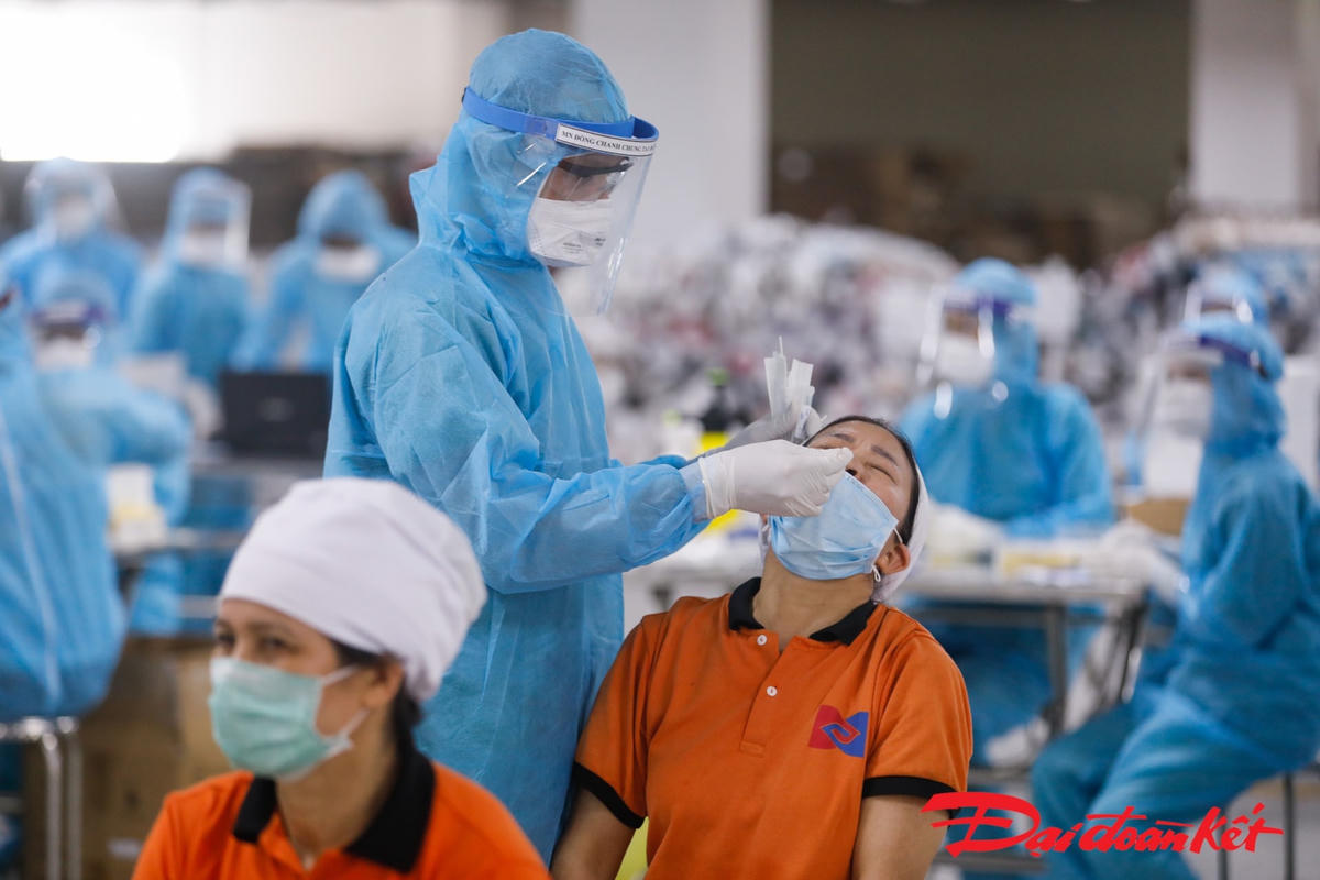 Các công nhân bắt đầu được lấy mẫu xét nghiệm. Ảnh: Quang Vinh. 