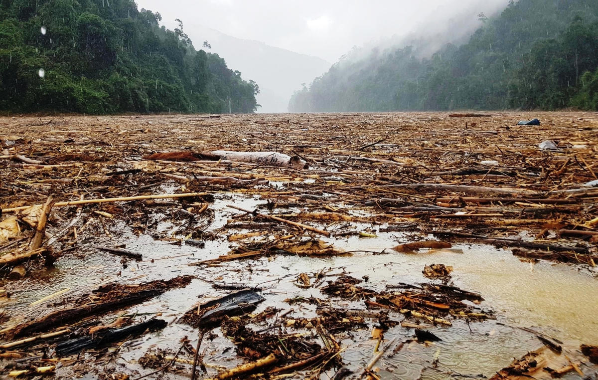Gỗ tràn ngập trên lòng hồ thủy điện Sông Tranh 2.