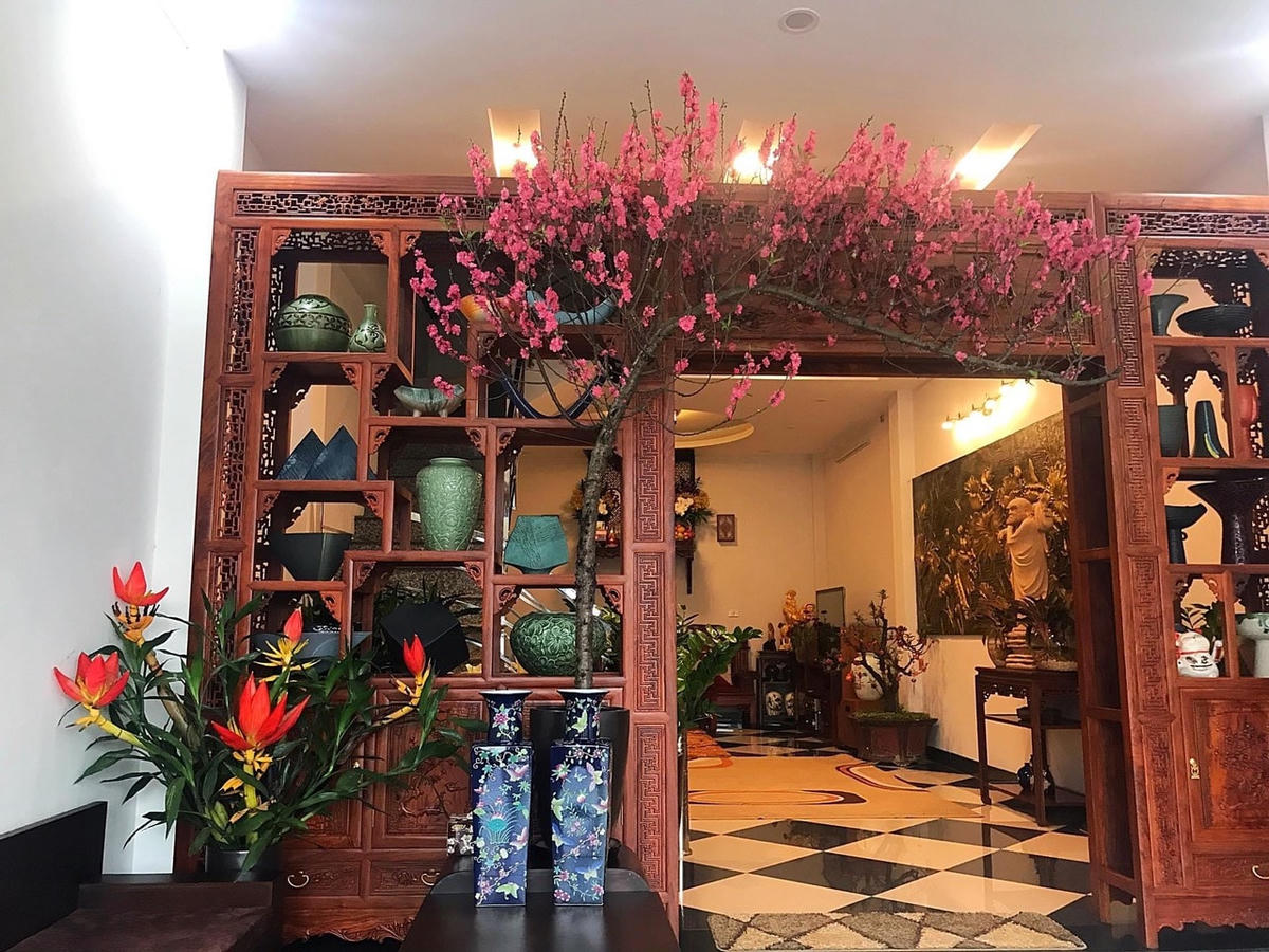 Cành đào dáng huyền khoe sắc. (Ảnh minh hoạ).