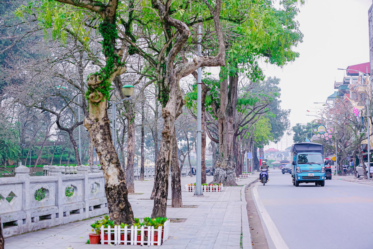 Hiện, UBND thị xã Sơn Tây đang tích cực hoàn thành công tác chuẩn bị cho ngày tuyến phố đi bộ được chính thức vận hành…