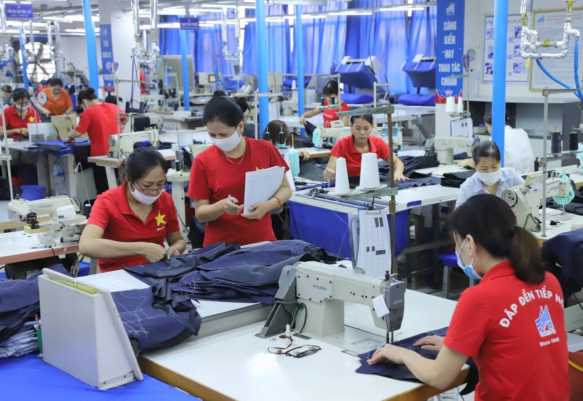 Những ngày vượt bão