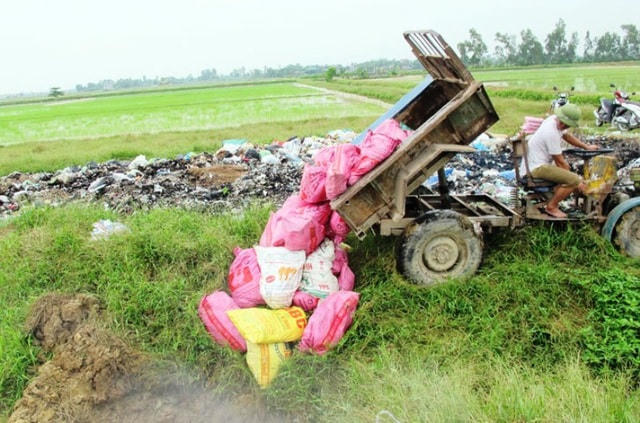 Lo ngại dịch bệnh gia súc, gia cầm gia tăng