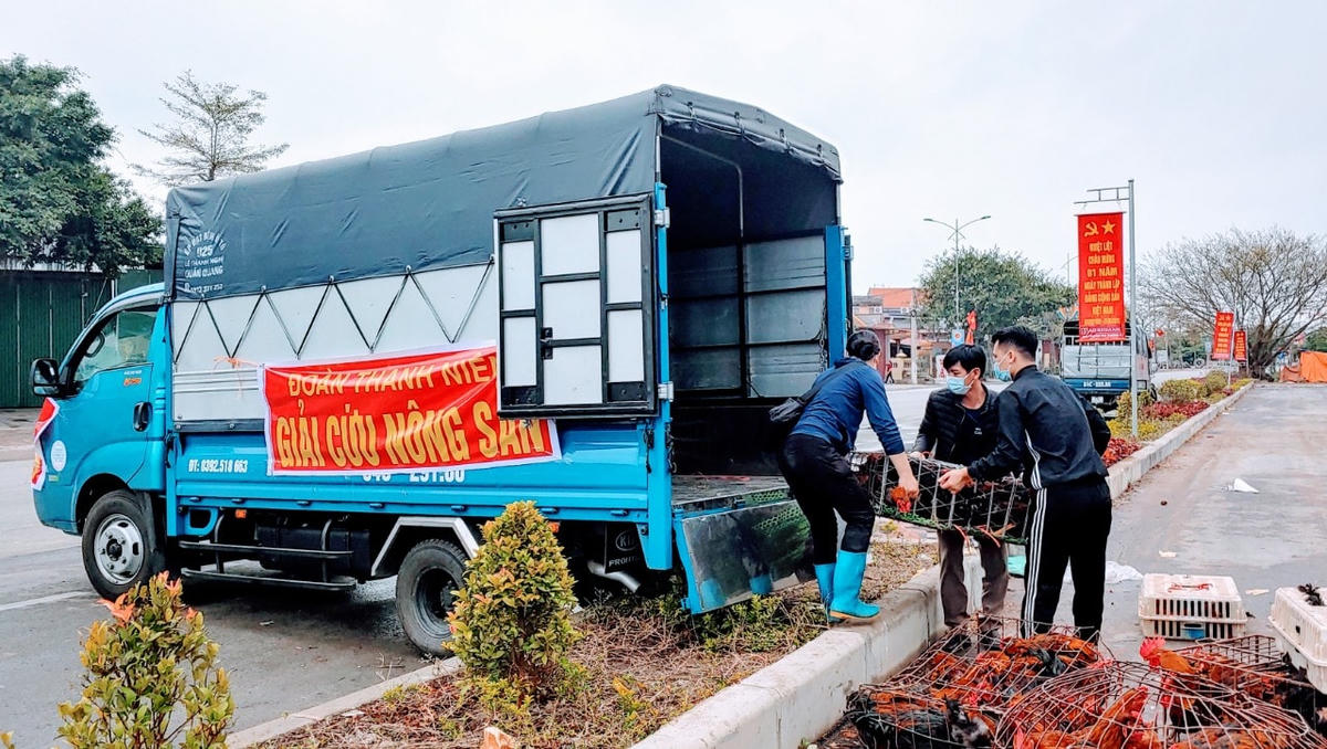 Đến nay, chưa có người lao động tự do nào của tỉnh Hải Dương được nhận được hỗ trợ theo Nghị quyết 68 của Chính phủ. Ảnh minh họa.