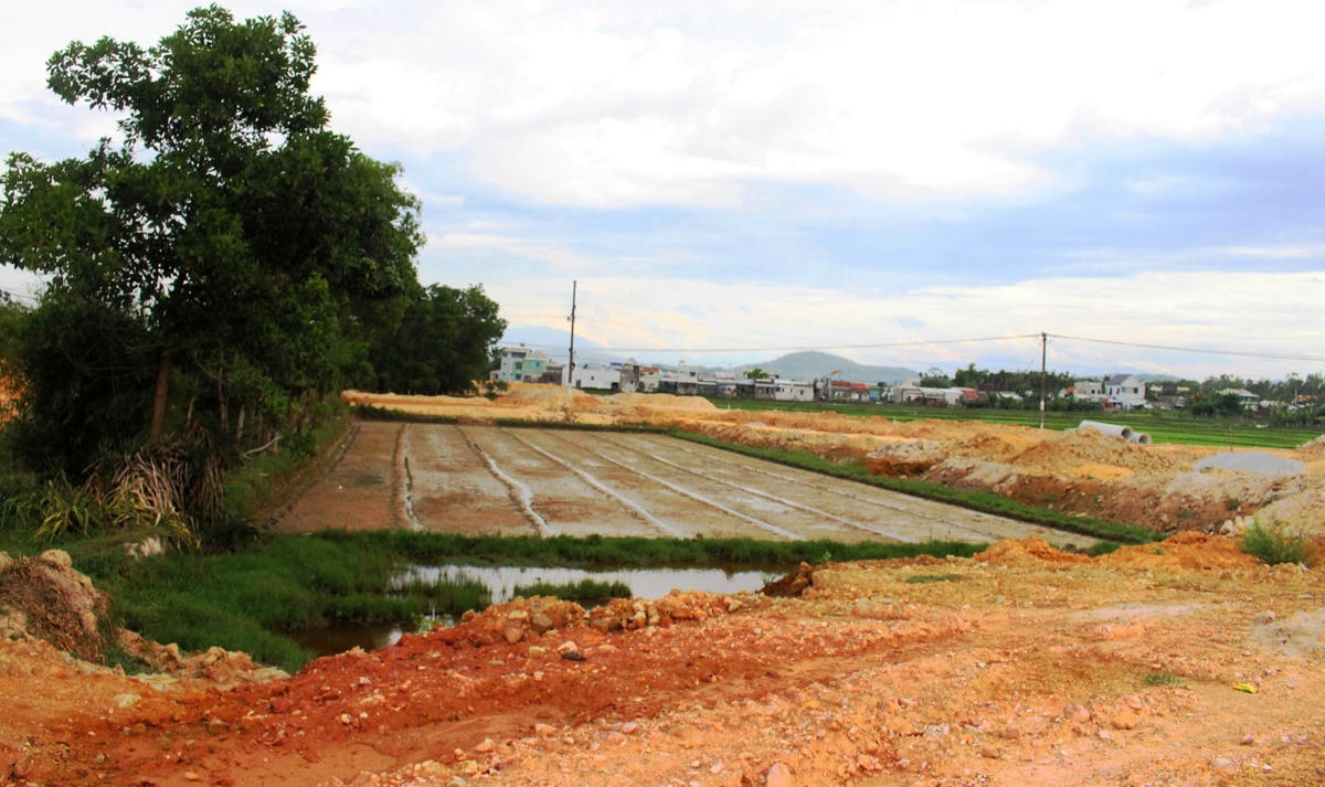 Dự án Khu phố chợ Trường Xuân đổ đất bao vây ruộng lúa của người dân.
