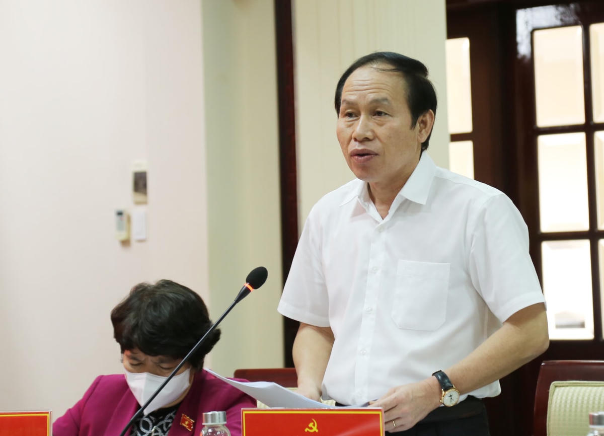 Phó Chủ tịch - Tổng Thư ký Lê Tiến Châu phát biểu tại buổi làm việc. 