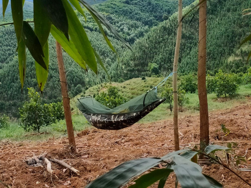 Chị Yến mắc võng ngủ trên đồi.