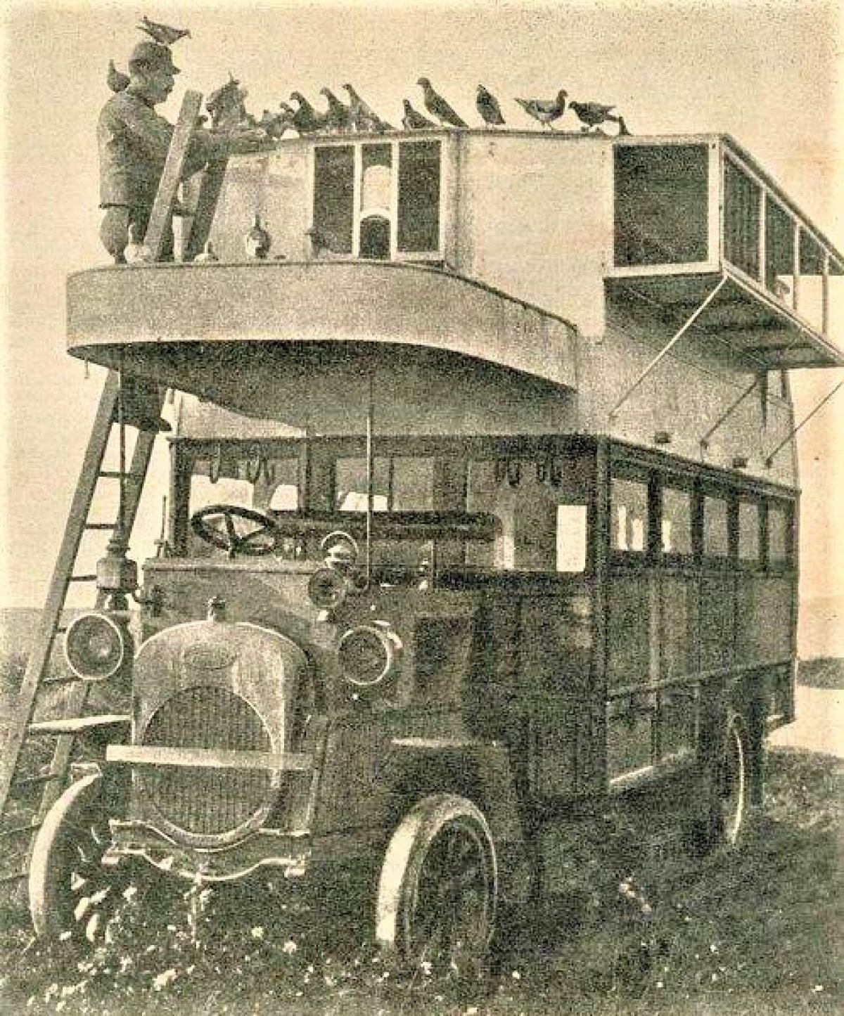 Việc sử dụng bồ câu đưa thư rất phổ biến trong quân đội các nước châu Âu vào thế kỷ 19. Nguồn: topwar.ru.  