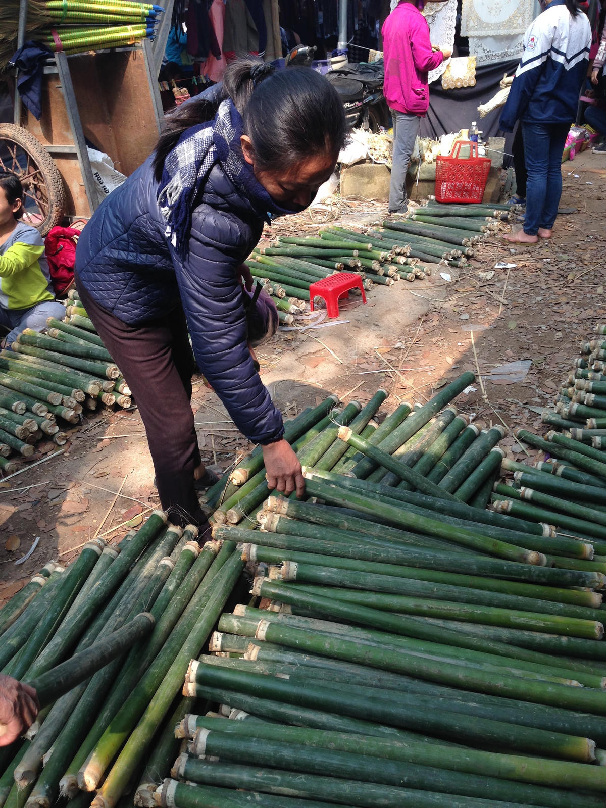 Mua ống giang về chẻ lạt gói bánh chưng.  