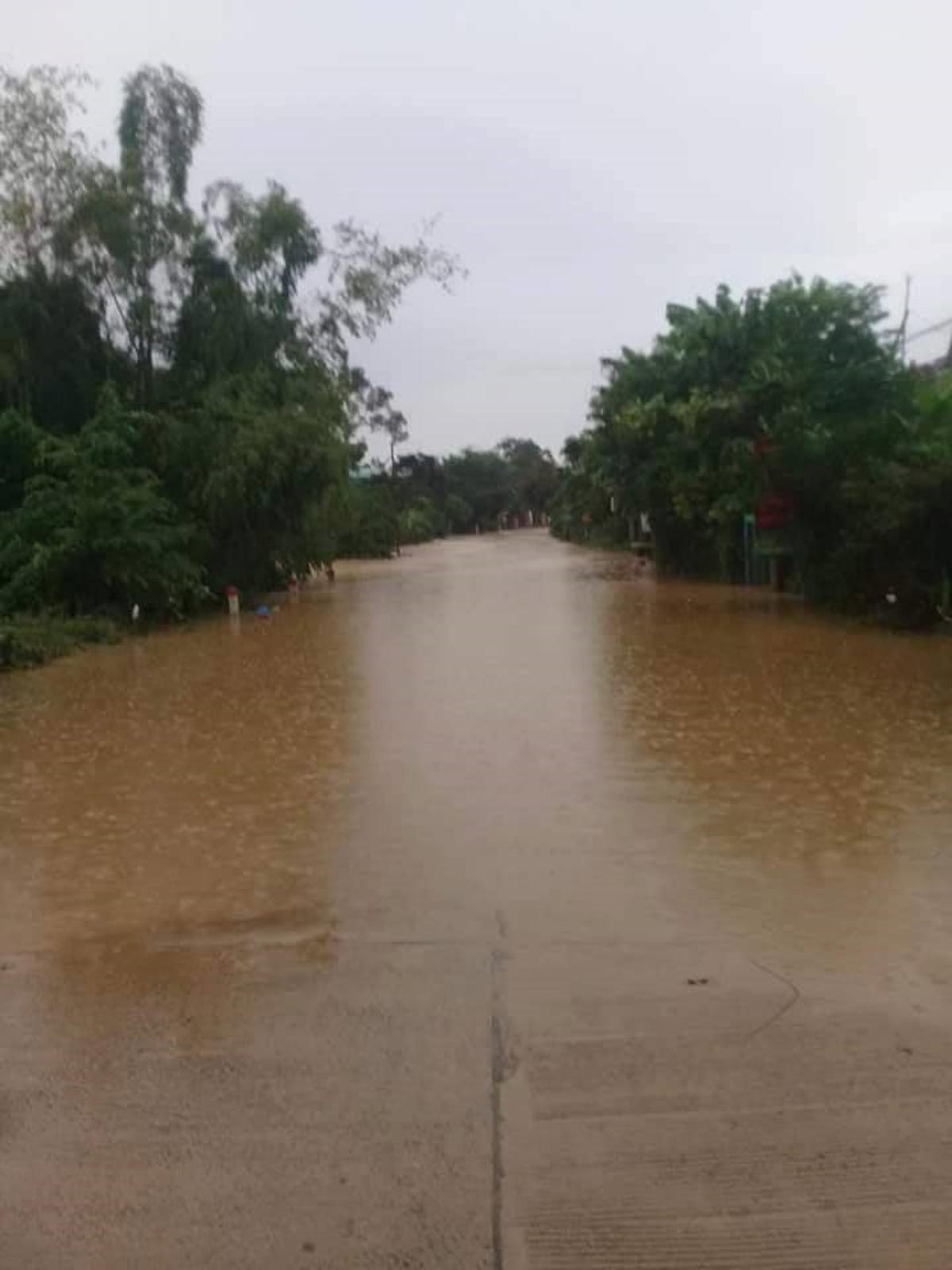 Khu vực gần nơi ông Hoàng Thiện Nh. câu cá.