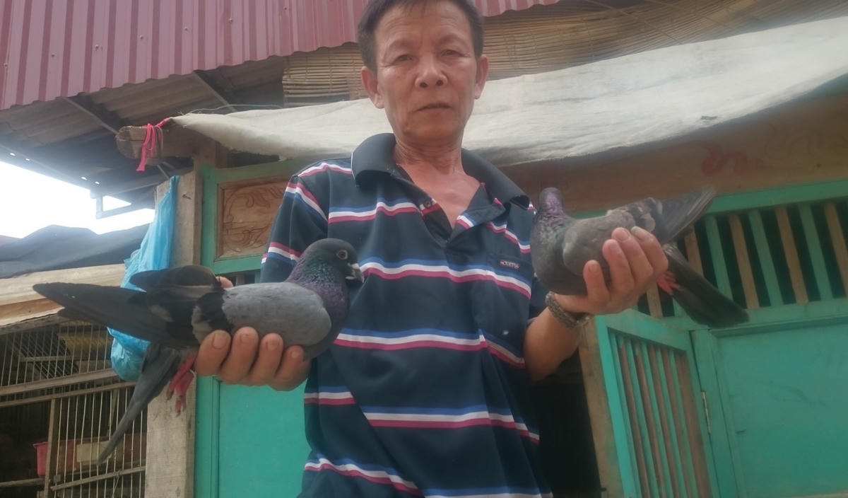Gần như ngày nào ông Đoàn cũng đưa chim ra khỏi chuồng, cho tập bay. Ảnh: Nam Anh.