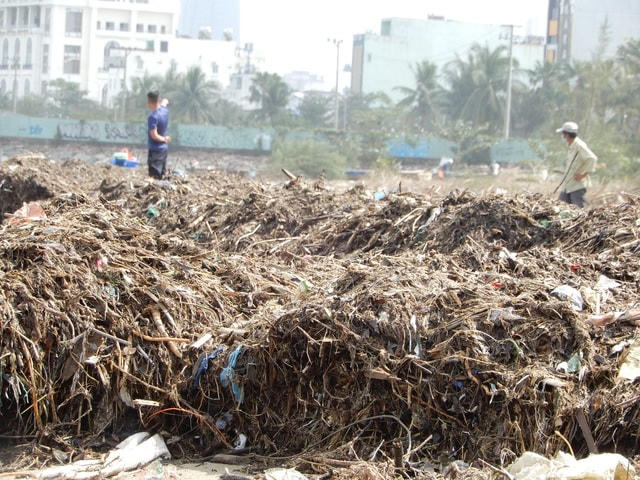 Có những đoạn rác chất cao.  