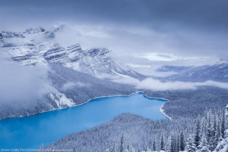 Hồ Peyto, Canada.  