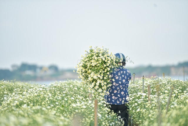 Dự báo thời tiết ngày mai (26/11) miền Bắc ngày nắng, đêm trời lạnh. Ảnh minh họa. Nguồn: Dân trí.